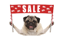 Discounted Items